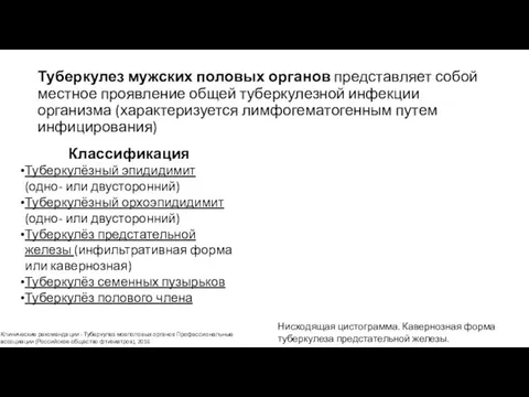 Туберкулез мужских половых органов представляет собой местное проявление общей туберкулезной инфекции