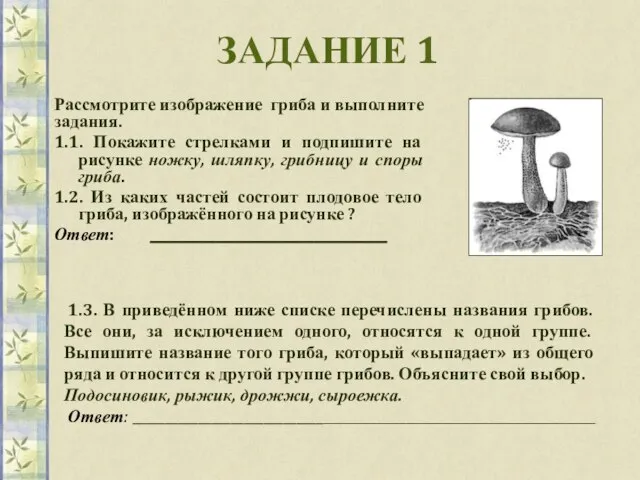 ЗАДАНИЕ 1 Рассмотрите изображение гриба и выполните задания. 1.1. Покажите стрелками