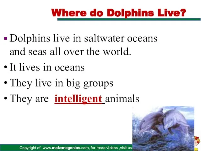 Where do Dolphins Live? Dolphins live in saltwater oceans and seas