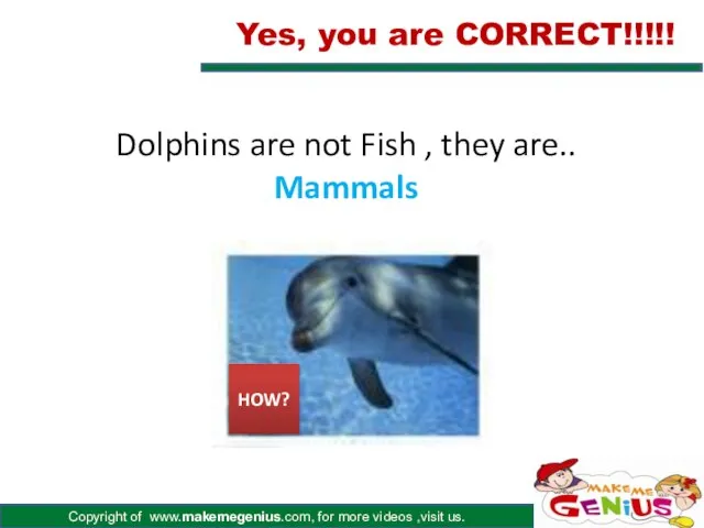 Dolphins are not Fish , they are.. Mammals Yes, you are CORRECT!!!!! HOW?