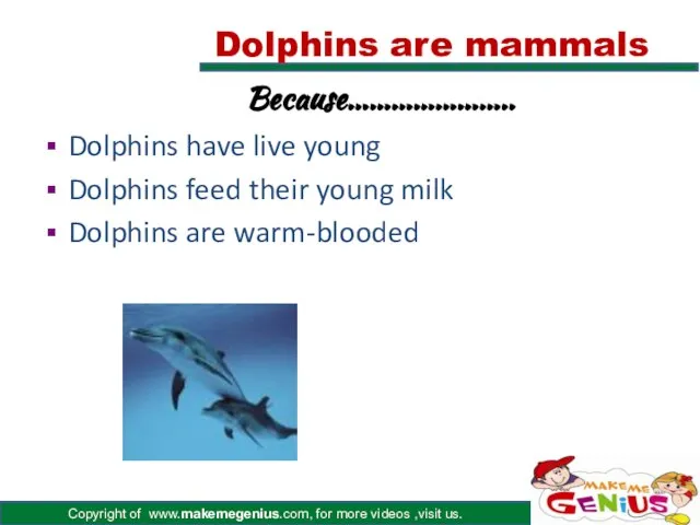 Dolphins are mammals Dolphins have live young Dolphins feed their young milk Dolphins are warm-blooded Because…………………..