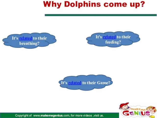 Why Dolphins come up? It’s related to their breathing? It’s related