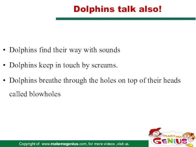 Dolphins talk also! Dolphins find their way with sounds Dolphins keep