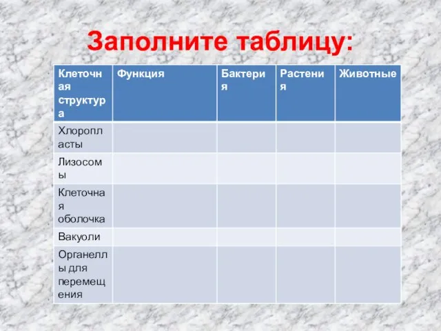 Заполните таблицу: