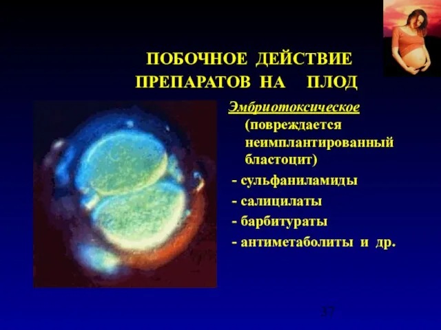 ПОБОЧНОЕ ДЕЙСТВИЕ ПРЕПАРАТОВ НА ПЛОД Эмбриотоксическое (повреждается неимплантированный бластоцит) - сульфаниламиды