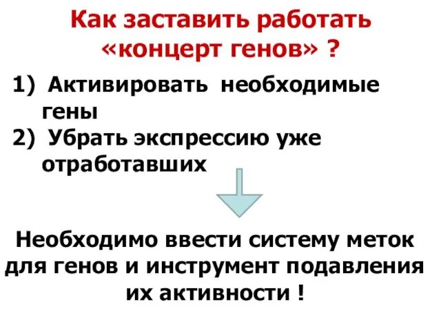 Как заставить работать «концерт генов» ? Активировать необходимые гены Убрать экспрессию