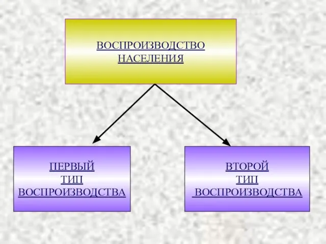 ВОСПРОИЗВОДСТВО НАСЕЛЕНИЯ ПЕРВЫЙ ТИП ВОСПРОИЗВОДСТВА ВТОРОЙ ТИП ВОСПРОИЗВОДСТВА