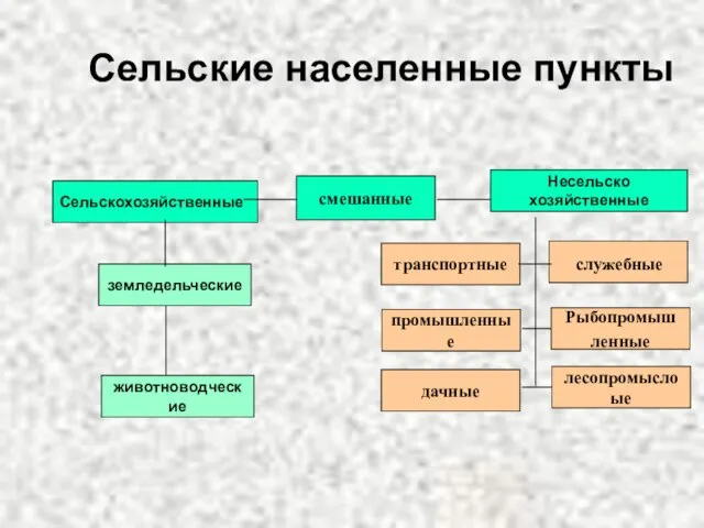 Сельские населенные пункты Сельскохозяйственные смешанные Несельско хозяйственные земледельческие животноводческие Рыбопромыш ленные лесопромыслоые транспортные промышленные дачные служебные