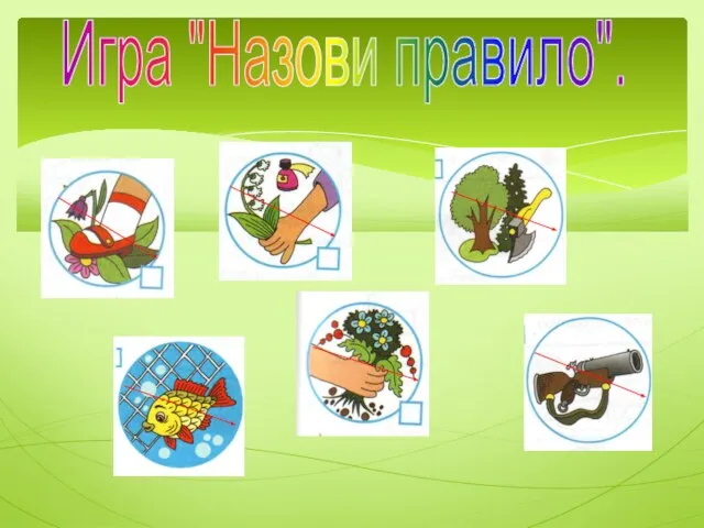 Игра "Назови правило".