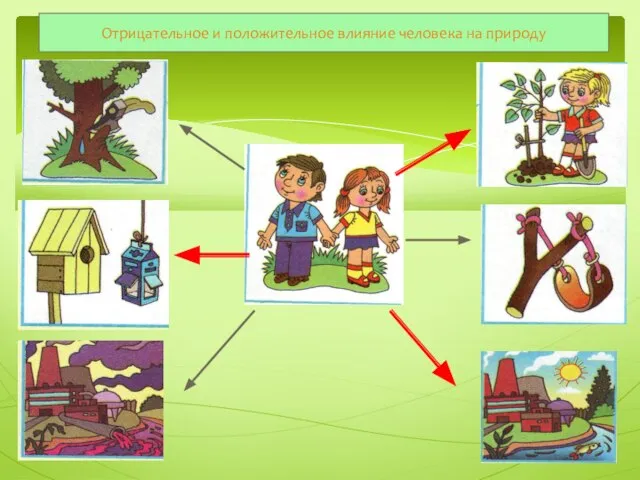 Отрицательное и положительное влияние человека на природу