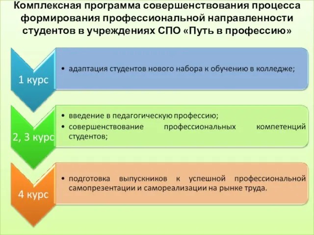 Комплексная программа совершенствования процесса формирования профессиональной направленности студентов в учреждениях СПО «Путь в профессию»