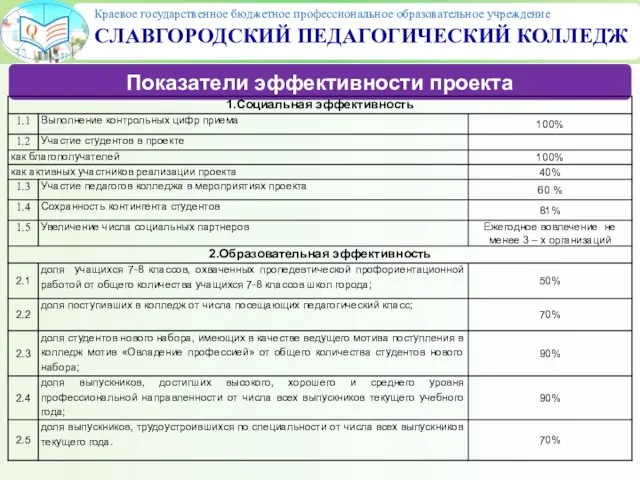 Показатели эффективности проекта