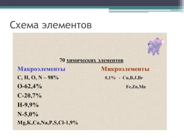 Схема элементов