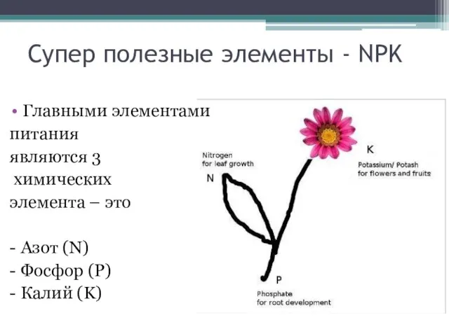 Супер полезные элементы - NPK Главными элементами питания являются 3 химических