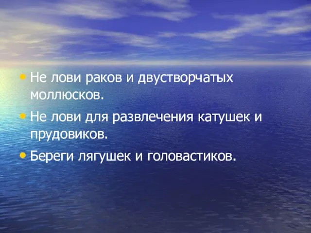 Не лови раков и двустворчатых моллюсков. Не лови для развлечения катушек