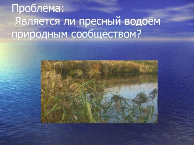 Проблема: Является ли пресный водоём природным сообществом?