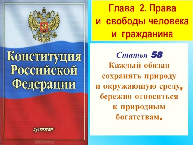 Глава 2. Права и свободы человека и гражданина Статья 58 Каждый