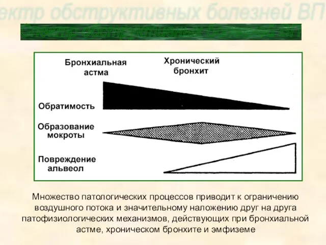 Спектр обструктивных болезней ВП Множество патологических процессов приводит к ограничению воздушного