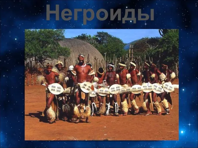 Негроиды