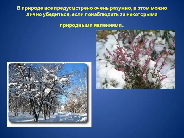 В природе все предусмотрено очень разумно, в этом можно лично убедиться,