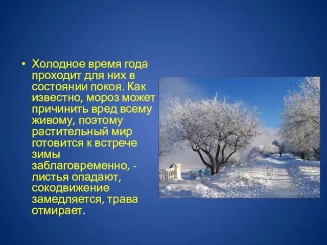 Холодное время года проходит для них в состоянии покоя. Как известно,