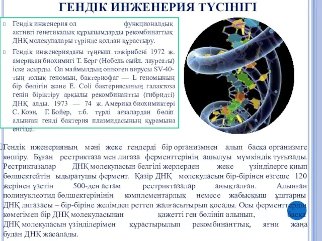 ГЕНДІК ИНЖЕНЕРИЯ ТҮСІНІГІ Гендік инженерия ол функционалдық активті генетикалық құрылымдарды рекомбинаттық