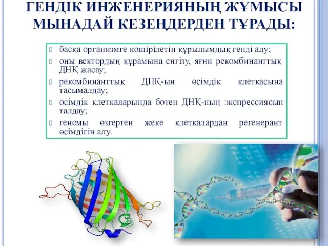 ГЕНДІК ИНЖЕНЕРИЯНЫҢ ЖҰМЫСЫ МЫНАДАЙ КЕЗЕҢДЕРДЕН ТҰРАДЫ: басқа организмге көшірілетін құрылымдық генді