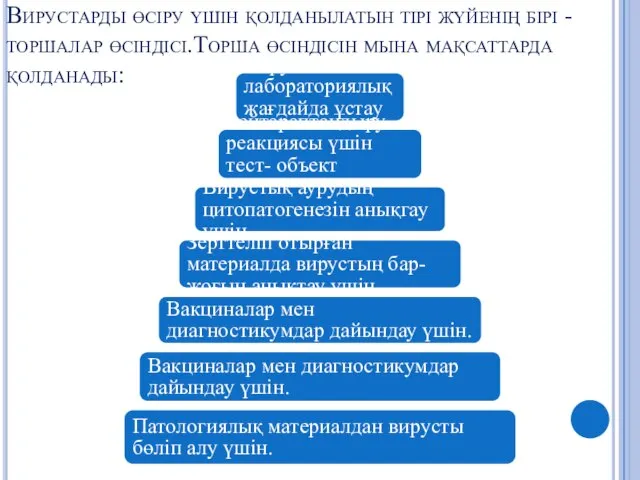 Вирустарды өсіру үшін қолданылатын тірі жүйенің бірі - торшалар өсіндісі.Торша өсіндісін