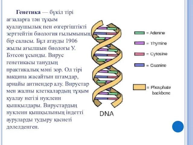 Генетика — бүкіл тірі ағзаларға тән тұқым қуалаушылық пен өзгергіштікті зерттейтін