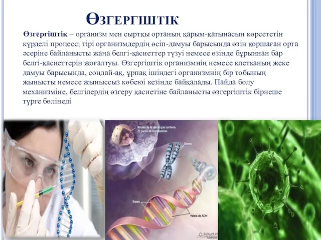 Өзгергіштік Өзгергіштік – организм мен сыртқы ортаның қарым-қатынасын көрсететін күрделі процесс;