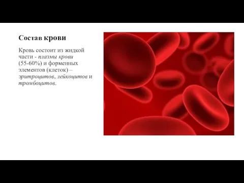Состав крови Кровь состоит из жидкой части - плазмы крови (55-60%)