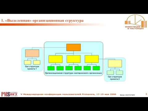 1. «Выделенная» организационная структура