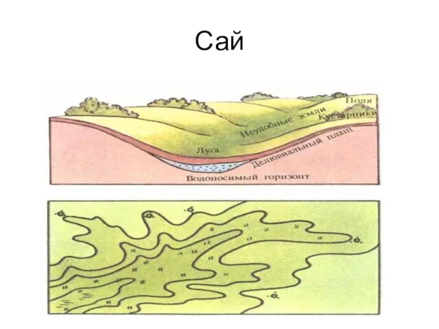 Сай