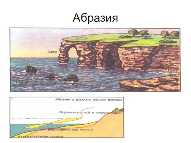 Абразия