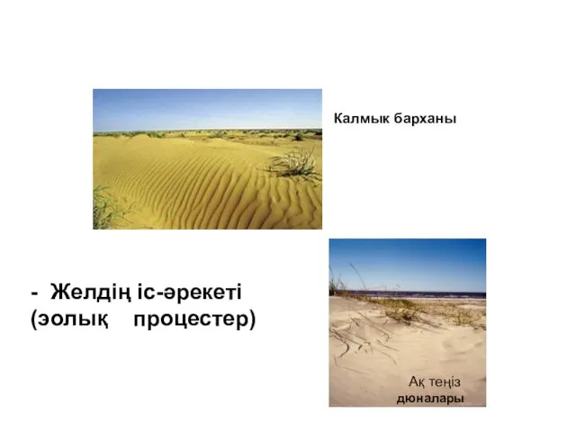 Калмык барханы Ақ теңіз дюналары - Желдің іс-әрекеті(эолық процестер)