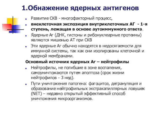 1.Обнажение ядерных антигенов Развитие СКВ - многофакторный процесс, внеклеточная экспозиция внутриклеточных