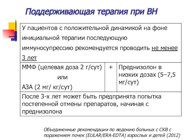 Поддерживающая терапия при ВН Объединенные рекомендации по ведению больных с СКВ