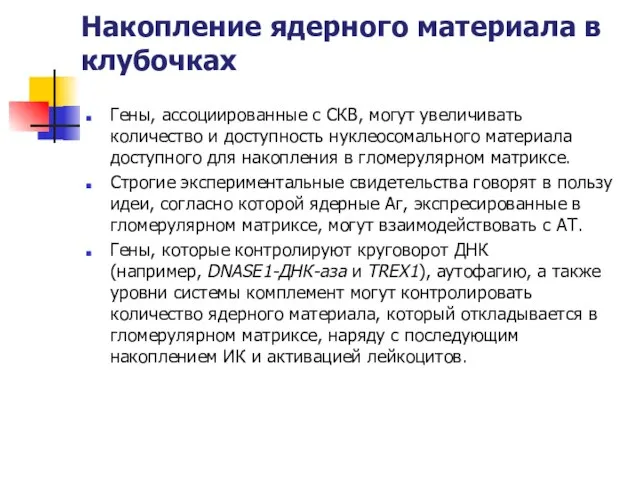 Накопление ядерного материала в клубочках Гены, ассоциированные с СКВ, могут увеличивать