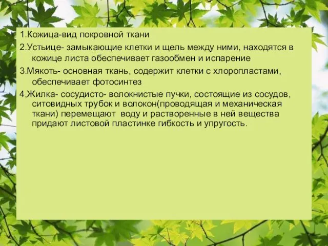 1.Кожица-вид покровной ткани 2.Устьице- замыкающие клетки и щель между ними, находятся