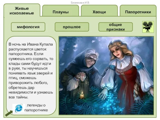 Папоротники Хвощи Плауны Живые ископаемые В ночь на Ивана Купала распускается