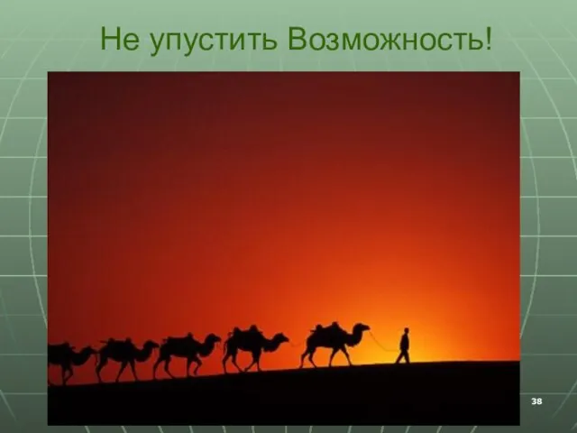 Не упустить Возможность!