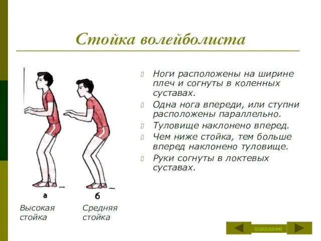 Стойка волейболиста Ноги расположены на ширине плеч и согнуты в коленных