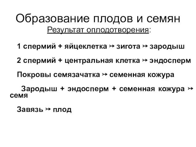 Результат оплодотворения: 1 спермий + яйцеклетка ↣ зигота ↣ зародыш 2