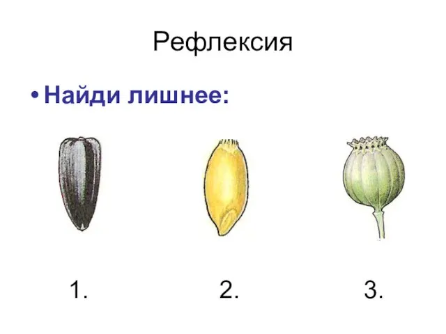 Рефлексия Найди лишнее: 1. 2. 3.