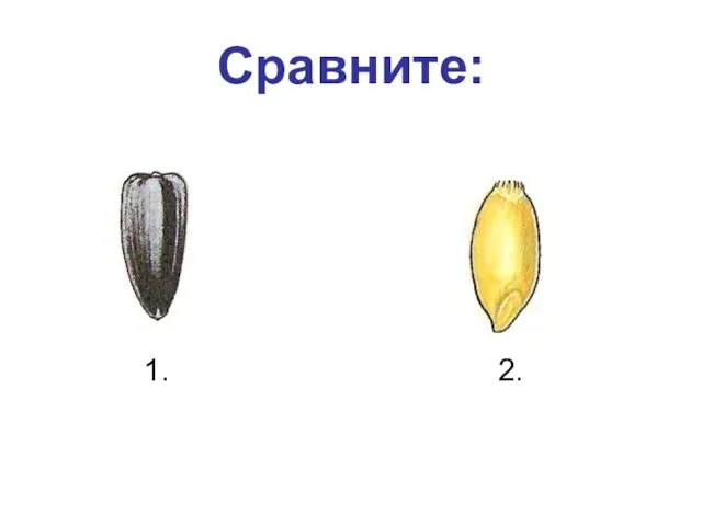 Сравните: 1. 2.