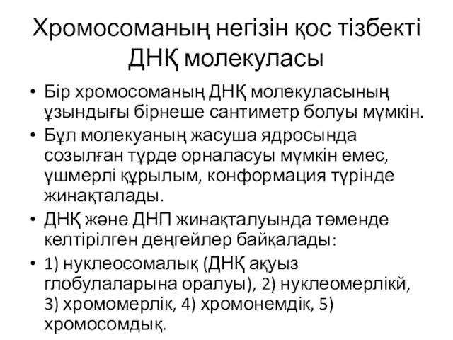 Хромосоманың негізін қос тізбекті ДНҚ молекуласы Бір хромосоманың ДНҚ молекуласының ұзындығы