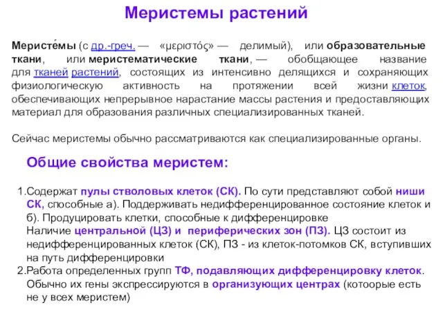 Меристемы растений Меристе́мы (с др.-греч. — «μεριστός» — делимый), или образовательные