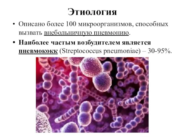 Этиология Описано более 100 микроорганизмов, способных вызвать внебольничную пневмонию. Наиболее частым