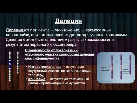 Делеция Делеции (от лат. deletio — уничтожение) — хромосомные перестройки, при