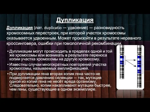 Дупликация Дупликации могут происходить в пределах одной и той же хромосомы